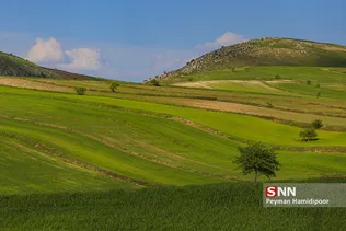 بهار
