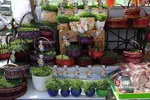 عیدماهی قرمز و سبزه شب عید