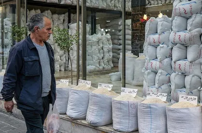 خروج برنج از مسیر یارانه و حذف ارز ترجیحی