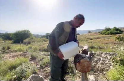 خود&zwnj;زنی به سبک محیط زیست؛ ناجی پارک ملی گلستان را کنار زدند
