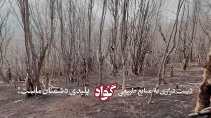 انتشار برای اولین بار| روایتی از آتش سوزی عمدی جنگل های رودبار و گیلان همزمان با شروع اغتشاشات در سطح کشور
