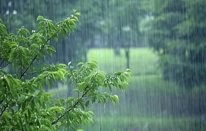 بارش برف و باران ۵ روزه در برخی استان&zwnj;ها/ افزایش آلودگی هوا در شهرهای صنعتی و پُرجمعیت