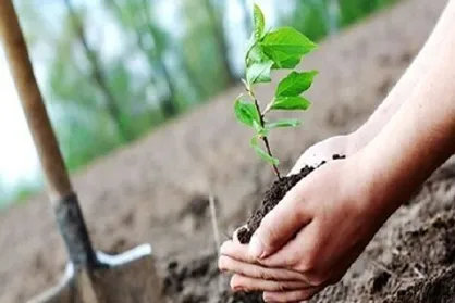 کاشت نهال به یاد شهدای جنگ تحمیلی رمضان به بهانه روز جهانی زمین پاک