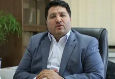 نرخ سبوس افزایش جدیدی نداشته است / شروط سازمان حمایت برای تغییرقیمت