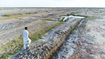 خطر بیخ گوش تالاب جازموریان / آقای رئیسی! به داد بی&zwnj;آبی جنوب کرمان برسید