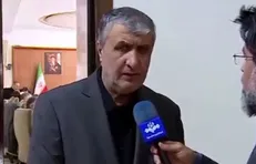 صنعت هسته‌ای با بمباران از بین نمی‌رود/ حمله به تاسیسات هسته‌ای ایران نشان داد که در دنیا قانون جنگل حاکم است