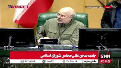 تصویب گزارش کمیسیون برنامه و بودجه در خصوص استنکاف وزارت رفاه از حذف یارانه نقدی سه دهک بالای درآمدی