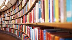 آغاز دومین دوره از مجموعه مسابقات مجازی کتابخوانی «هشت بهشت»