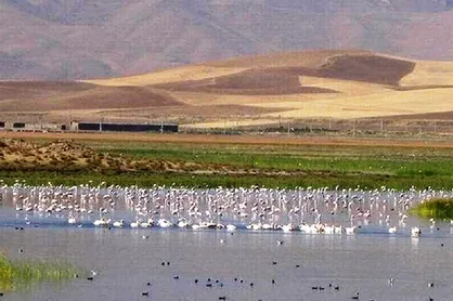 وضعیت آبی مطلوب تالاب &laquo;دورگه&zwnj;سنگی&raquo; برای نخستین بار طی ۲۰ سال اخیر