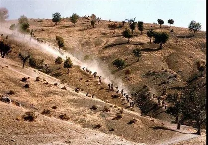 توقف احداث دهکده گردشگری در تپه الله&zwnj;اکبر