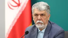 صالحی: هفته‌های فرهنگی آغاز مجددی برای تقویت دیپلماسی فرهنگی است