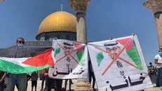 خیانت خود به آرمان ملت فلسطین را به ایران ربط ندهید
