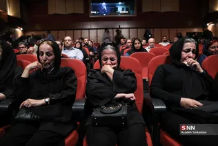 دبب