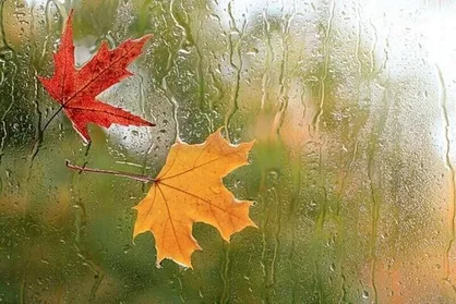کاهش ۷ تا ۱۲ درجه&zwnj;ای دما در نوار شمالی کشور
