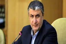امیدوارم هرچه زودتر شاهد نابودی تفکر صهیونیسم در جهان باشیم / مقاومت و ایستادگی جواب می‌دهد
