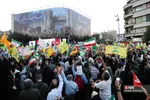دبب