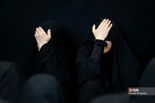 دبب