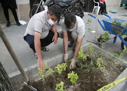 با مشارکت شهروندان محله&zwnj;های مرکزی شهر تهران کاشت و نگهداشت مشارکتی گل و گیاه آغاز شد