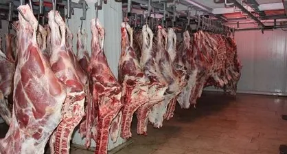تاکنون تخلف و مشکل خاصی در مورد سلامت گوشت&zwnj;های قرمز وارداتی یا داخلی به وجود نیامده است