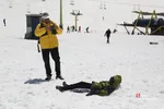 دبب