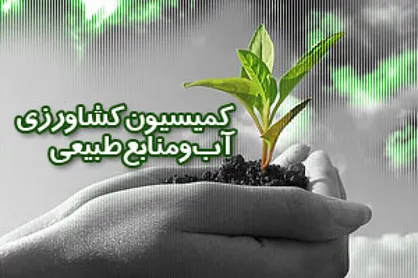 ۵ برابر بیش&zwnj;تر از ظرفیت تولید زعفران کارگاه بسته بندی وجود دارد