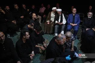 دبب