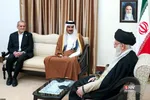 دبب