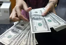 عرضه ۲۹۵ میلیون دلار در سامانه نیما