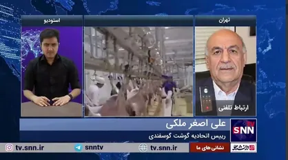 ملکی: دلیل افزایش قیمت گوشت قرمز کمبود عرضه است/ دام از کشور قاچاق می&zwnj;شود