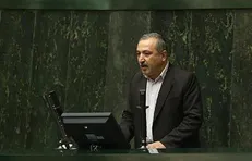 محمودزاده: واردات گوشت مرغ منطق اقتصادی ندارد