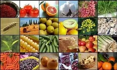 استفاده از ظرفیت سفرا در بازاریابی برای محصولات کشاورزی