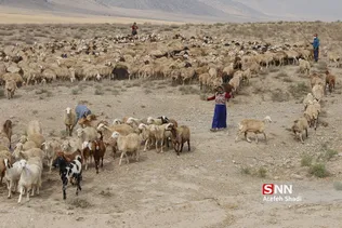 واکسن ذام