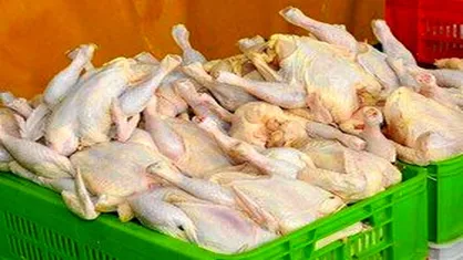 افزایش ۳ برابری تقاضای مرغ در هفته&zwnj;های اخیر/ توزیع با قیمت ۲۰ هزار و ۴۰۰ تومان