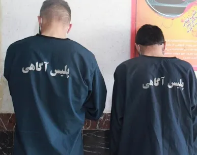 دستگیری سارقان موبایل قاپ با ۲۰ فقره سرقت در فردیس