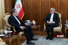 دیدار سفیر جدید جمهوری اسلامی ایران در نیجریه با عراقچی