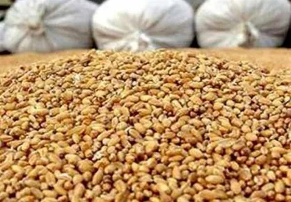 بسته حمایتی دولت برای تولیدکنندگان پس از حذف ارز ۲۸۵۰۰