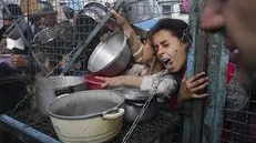 لازارینی: رژیم صهیونیستی از غذا به‌عنوان سلاح استفاده می‌کند / سازوکار کمک‌رسانی در غزه به «تله مرگ» تبدیل شده است