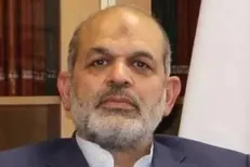 وحیدی: جریاناتی بدنبال ایجاد اختلاف بین ایران و افغانستان هستند