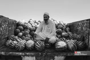 دبب