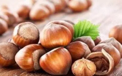 سیستم ایمنی بدنتان را با فندق تقویت کنید