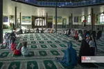 شبث