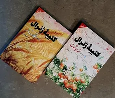 کتیبه هزار صفحه‌ای از یک ژنرال
