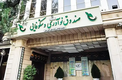 سرمایه&nbsp;صندوق نوآوری و شکوفایی به ۱۰ هزار میلیارد تومان افزایش یافت