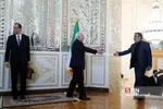 دیدار مدیرکل موقت آژانس بین‌المللی انرژی اتمی با ظریف