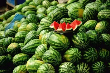 ایران؛ چهارمین تولیدکننده بادام و هندوانه در دنیا