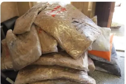 کشف ۵۸۵ کیلوگرم مواد مخدر در مرسولات پستی