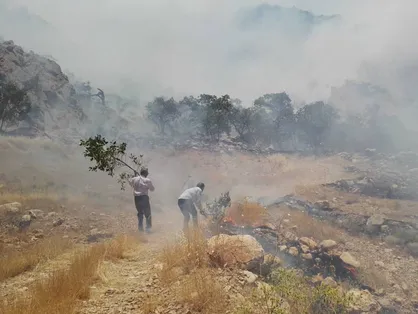 آتش سوزی در منطقه حفاظت شده &laquo;دیل&raquo; گچساران ادامه دارد