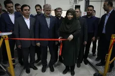 شینا انصاری: توسعه انرژی‌های تجدیدپذیر در اولویت دولت چهاردهم قرار دارد