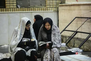 دبب