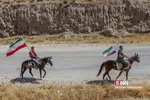 اسب